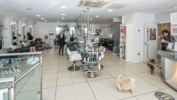Plymouth - Currys Retail - property investment - PL1 1RW - 019